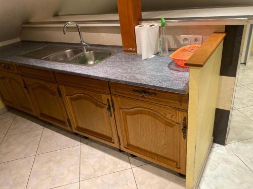eine Küche mit Holzschränken und einem Waschbecken in der Unterkunft Appartement des ruisseaux in Macheren