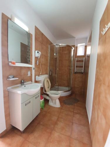 a bathroom with a toilet and a shower and a sink at Villa ANelu in Mamaia Sat/Năvodari