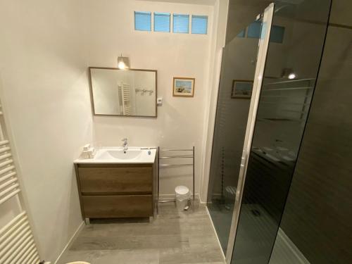 a bathroom with a sink and a shower at Résidence Les Milandes in Cazaubon