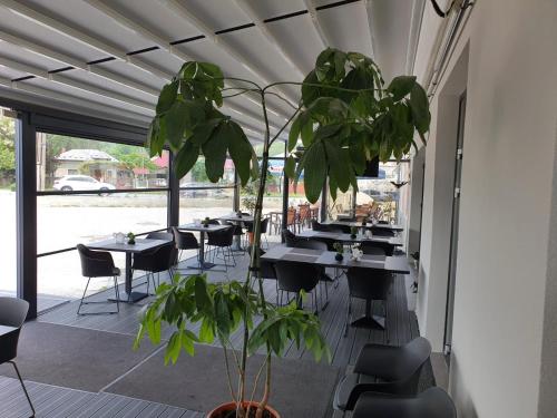 PENSIUNEA ADAにあるレストランまたは飲食店