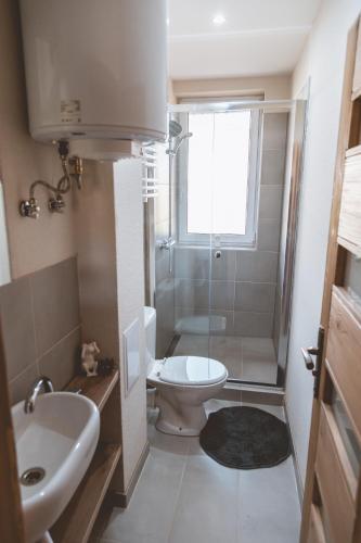 a bathroom with a toilet and a sink and a shower at Apartmán Zara in Telgárt