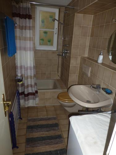y baño con lavabo, aseo y ducha. en Apartment La Rosa (Konstanz) en Konstanz