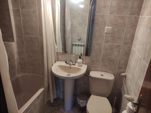 een badkamer met een wastafel, een toilet en een douche bij Apartamento Miguel Torla Ordesa in Torla