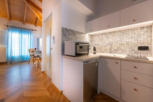kuchnia ze zlewem i kuchenką mikrofalową w obiekcie IPELHOME - Plaka Boutique Apartments w Atenach