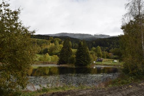 a lake with trees and mountains in the background at Ferienwohnung Familie Pichler in Neumarkt in Steiermark