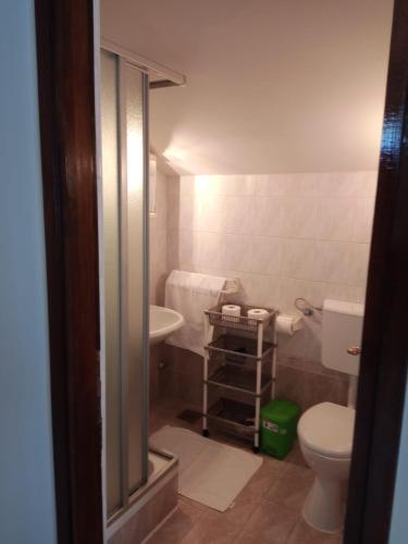a small bathroom with a toilet and a sink at Apartmani Ivana in Novalja