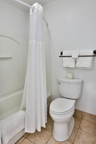a bathroom with a white shower curtain and a toilet at The Chalet in St. George