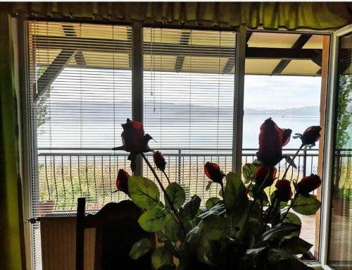 Afbeelding uit fotogalerij van Villa Stefan in Ohrid