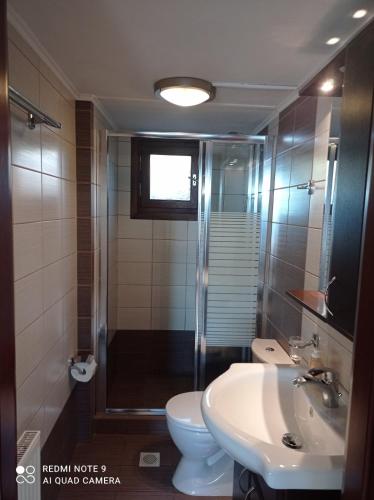 a bathroom with a shower and a toilet and a sink at Domina Villas in Almyrida