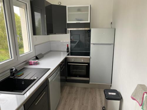 een kleine keuken met een wastafel en een koelkast bij Appartement Parc de Fresnoy in Roye