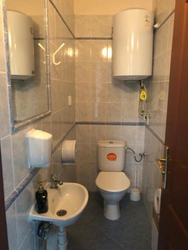 a bathroom with a toilet and a sink at Apartmán na čerpací stanici RoBiN OIL Rýmařov in Rýmařov