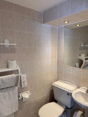 a bathroom with a toilet and a sink at The Old Coach House in Blackpool