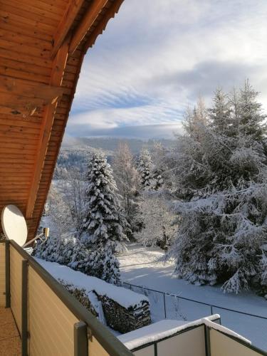 a winter view from the balcony of a log cabin at Ferienwohnung Familie Pichler in Neumarkt in Steiermark