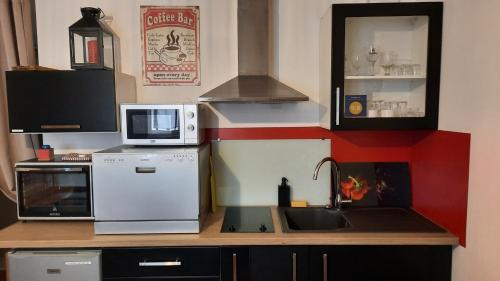 une petite cuisine avec un évier et un micro-ondes dans l'établissement La Duchesse - Loveroom Moonlove Place Stanislas, à Nancy
