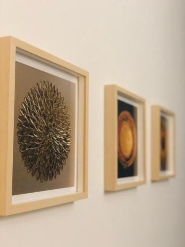 Gambar di galeri bagi Le studio d'Angèle : Angie di Bruz