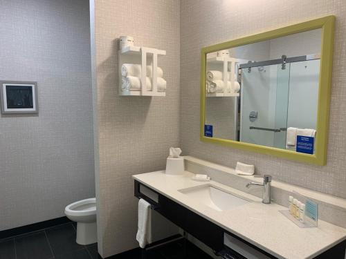 莫纳汉斯Hampton Inn Monahans, Tx的带水槽、镜子和马桶的浴室