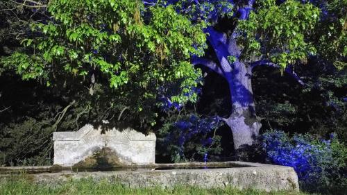a tombstone and a tree with blue flowers at Sotto Il Cielo Hotel in Pignola
