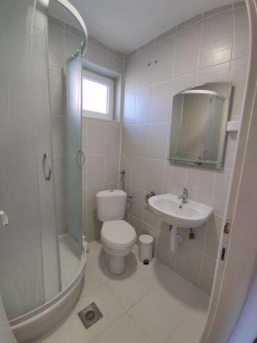 a bathroom with a toilet and a sink and a shower at Soko-Veljkovic-apartman in Soko Banja
