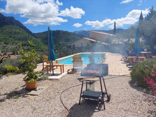 einen Hinterhof mit Grill und Pool in der Unterkunft Le mas christine in Buis-les-Baronnies