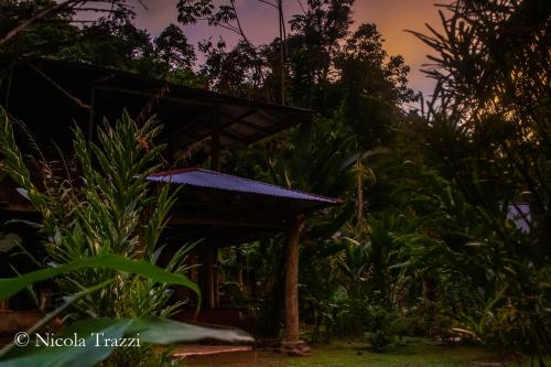 Complejo Ecoturistico Tamandua – Photos 5