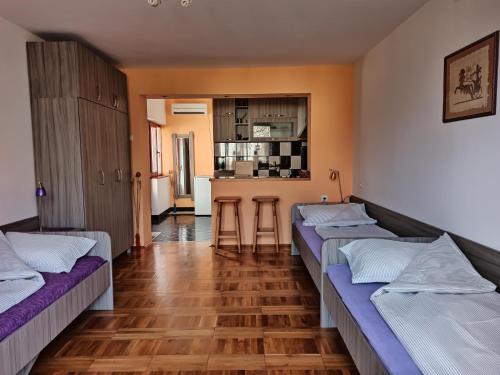 een kamer met 2 bedden en een keuken bij Apartman Ristic in Niška Banja