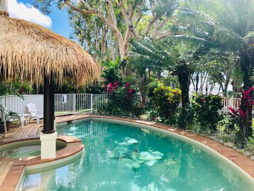 una piscina con un ombrellone di paglia e alberi di Villa Beach Palm Cove a Clifton Beach