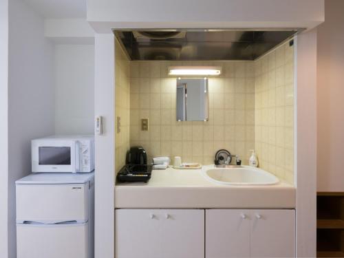 Kuchyň nebo kuchyňský kout v ubytování Hotel WWJ