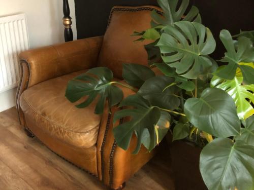 a brown leather couch sitting next to a plant at High Tor Guest House in Whitby