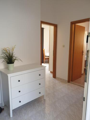 Gambar di galeri bagi Seaside stay Rošić di Ivan Dolac