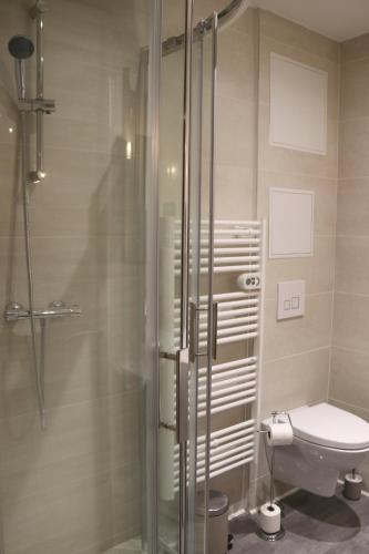 une salle de bain avec douche et toilettes dans l'établissement R'Studio Ciné Salle 1 Hypercentre Grenoble, à Grenoble