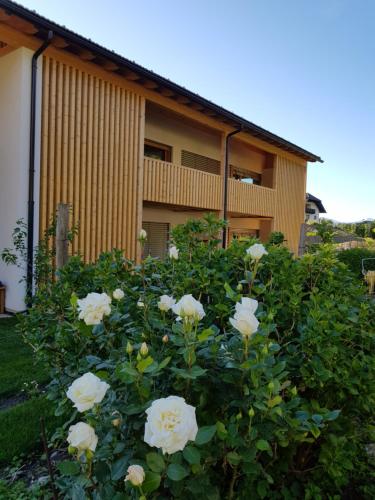 a bush of white roses in front of a building at Lahnhof in Lana
