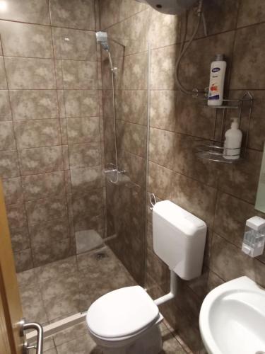 a bathroom with a shower and a toilet and a sink at Vinarija "Đelmo" apartments in Trebinje