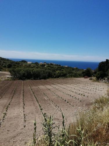 Φυσικό τοπίο κοντά σε αυτό το διαμέρισμα