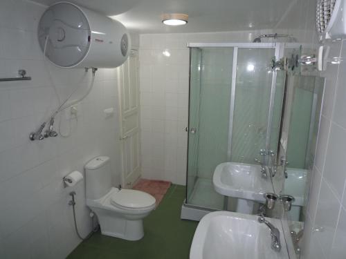 a bathroom with a shower and a toilet and a sink at Snow Leopard Lodge in Srinagar