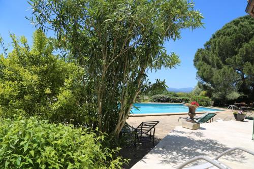 - une piscine avec un arbre à côté dans l'établissement A L'orée Des Cévennes, à Aigremont