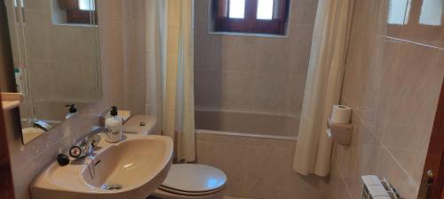 La salle de bains est pourvue d'un lavabo, de toilettes et d'une douche. dans l'établissement Centro Torla 4pax Apartamento, à Torla