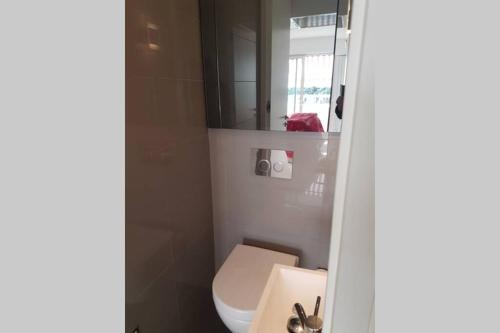 une salle de bain avec toilettes, lavabo et miroir dans l'établissement Luxueux appartement central proche Croisette, à Cannes
