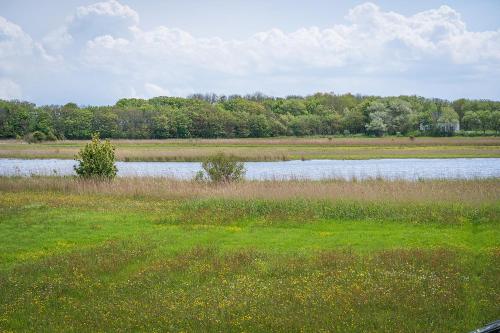 a large body of water in a field with grass at Hotel het Anker van Texel in De Cocksdorp