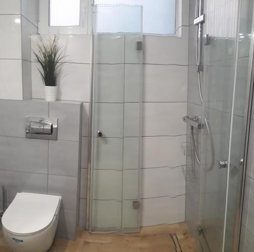 a bathroom with a toilet and a glass shower at Apartament Kąty Rybackie Zaciszna in Kąty Rybackie
