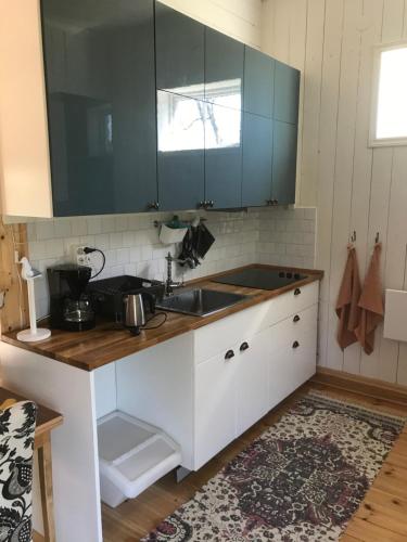 uma cozinha com um lavatório e um balcão em Tågmagasinet Fidenäs em Burgsvik
