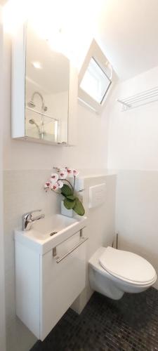 a bathroom with a toilet and a sink and a mirror at Villa Angelus in Nice