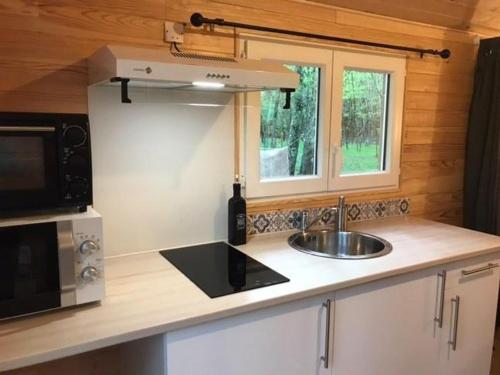 eine Küche mit einer Spüle und einer Mikrowelle in der Unterkunft LA SAPINEDE in Saint-Vincent-de-Paul