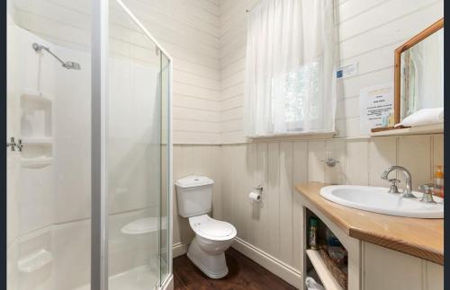 uma casa de banho com um chuveiro, um WC e um lavatório. em Jacomb's Cottage and Studio em Walhalla