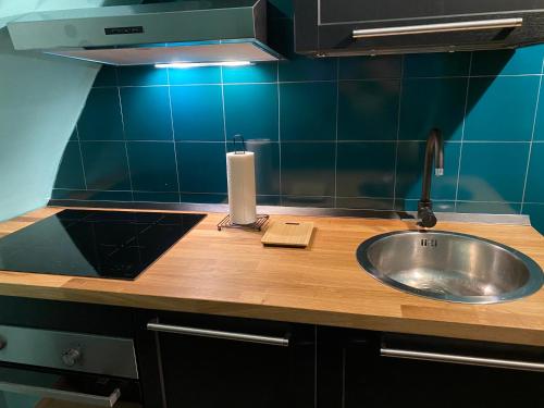 a kitchen counter with a sink and a roll of paper towels at Appartamento Frida in Parma