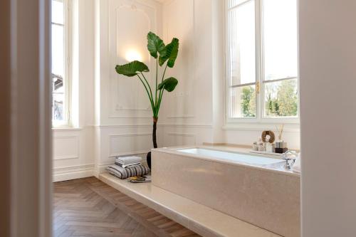 un baño con una gran bañera con una planta. en Dimora Palanca, en Florencia