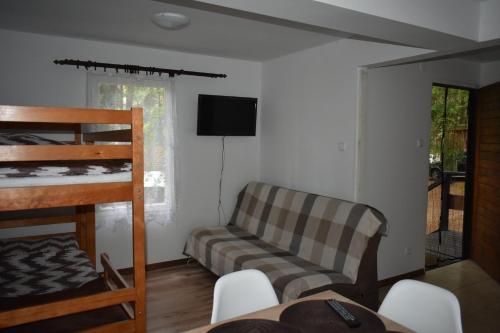 a living room with a couch and a bunk bed at Oleandria -,,Domek Jeżynka" nr 30 in Biskupiec