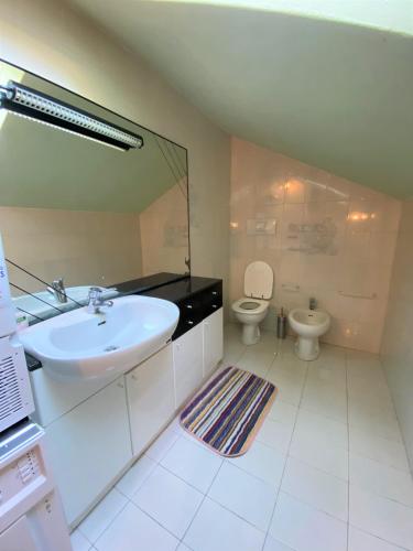 a bathroom with a sink and a toilet at Casa Elvy Al Lago in Cannobio