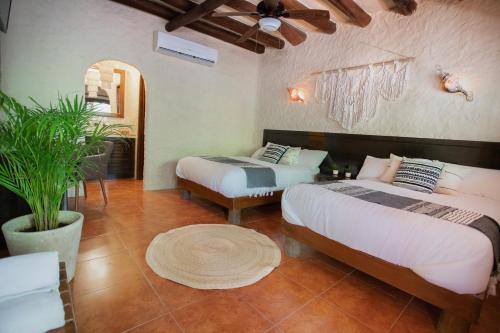 a bedroom with two beds and a potted plant at Hotel Macondito Holbox in Holbox Island