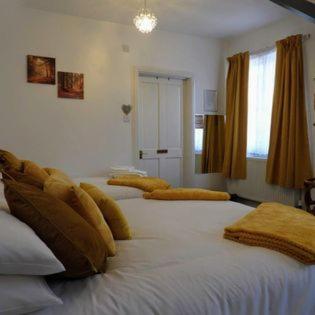 Habitación con 3 camas con almohadas amarillas. en Kings Arms Hotel en Holsworthy