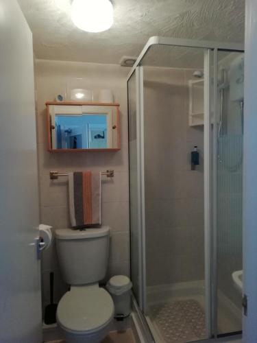 a small bathroom with a toilet and a shower at Shirley Heights Hotel in Blackpool